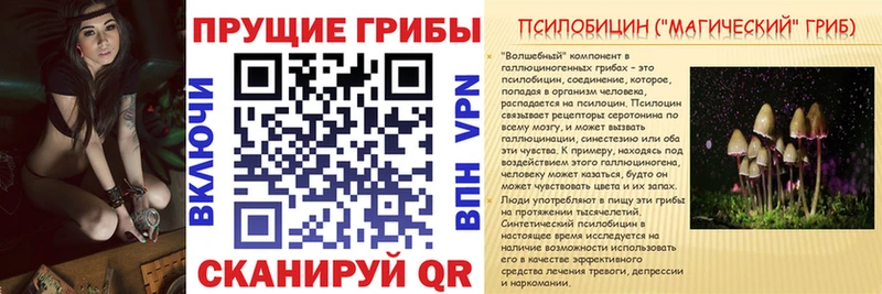 Псилоцибиновые грибы Psilocybine cubensis Усмань